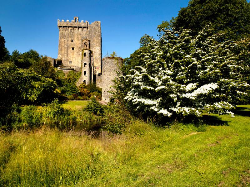 Blarney Castle and Gardens