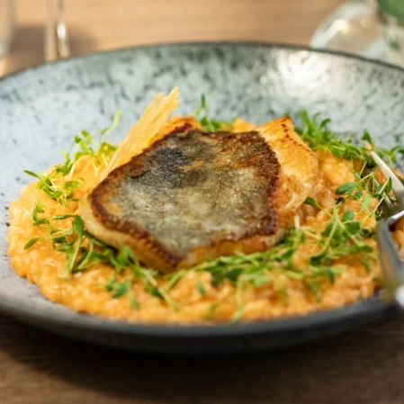 Delicious crispy fish over creamy risotto garnished with fresh sprouts, served on elegant stoneware at hotel restaurant.