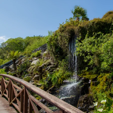 Lush hotel garden with waterfall, wooden walkway, bright flora, and serene atmosphere ideal for relaxation and nature walks.