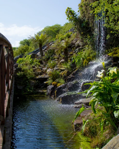 Serene garden waterfall by wooden bridge, lush greenery, and tranquil pond at luxury hotel grounds.