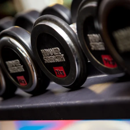 Modern gym with free weights for guest fitness, featuring 2kg dumbbells neatly arranged on a rack, ideal for workouts.