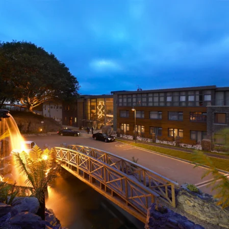 Evening view of hotel entrance with illuminated bridge, water feature, modern facade, and lush trees.