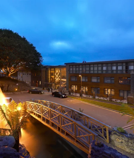 Evening view of hotel entrance with illuminated bridge, water feature, modern facade, and lush trees.