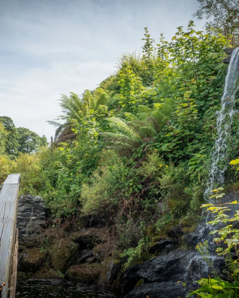 Couple on scenic wooden bridge near lush greenery and waterfall, enjoying serene hotel garden for weddings or relaxation.