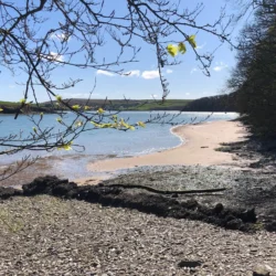 5 Reasons to book your next stay at Kinsale Hotel & Spa