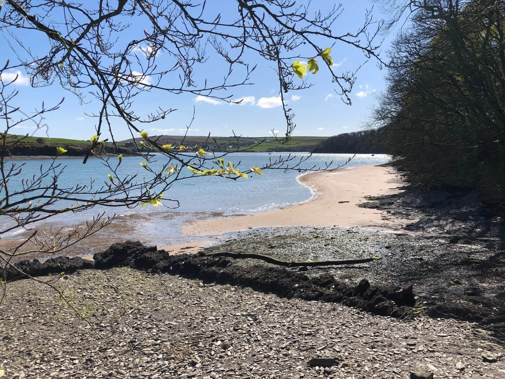 5 Reasons to book your next stay at Kinsale Hotel & Spa